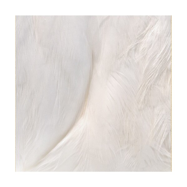 HEN NECKS, Fly Tying Jann's Netcraft